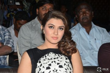 Maga Maharaju Movie Audio Launch